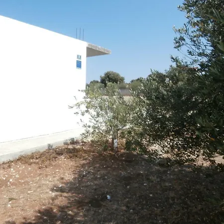 Nada 2's At 2 Krci سيفيد